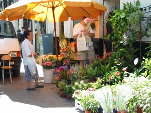 woman looking at flowers