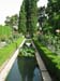water garden in the a#C364C